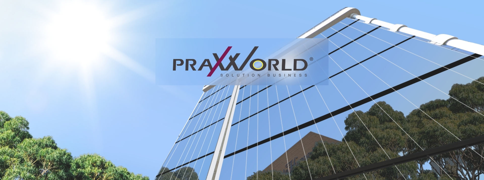 Praxworld Solution Business