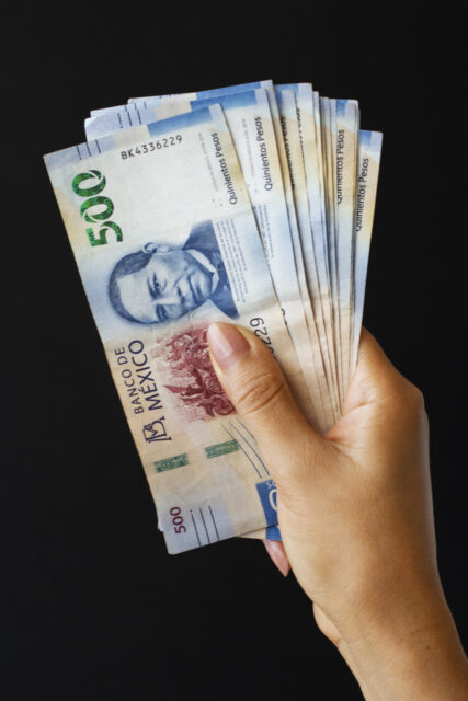 CONASAMI-Incremento a los Salarios Mínimos para 2025-
